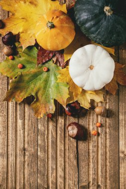 Ahşap zemin üzerinde kırmızı ve sarı sonbahar yaprakları kabak ve kestane ile çeşitlilik. Düz yatıyordu. Yaratıcı arkaplanı düşür.