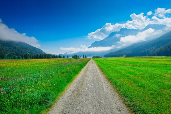 Long straight dirt road in the middle of the green mountain mead — Stock Photo, Image