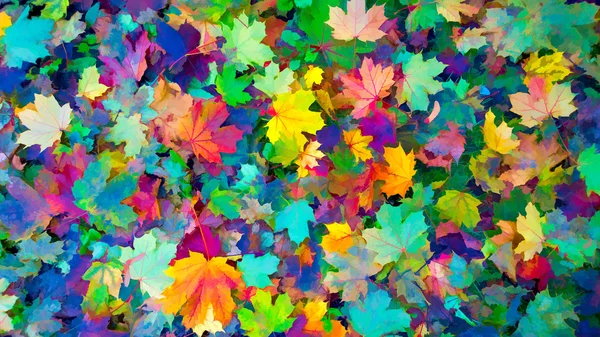 Feuilles colorées de l'automne Fond d'automne, Couleurs de l'automne — Photo