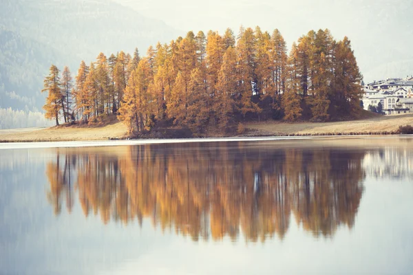 Los alerces de otoño se reflejan en el lago alpino — Foto de Stock
