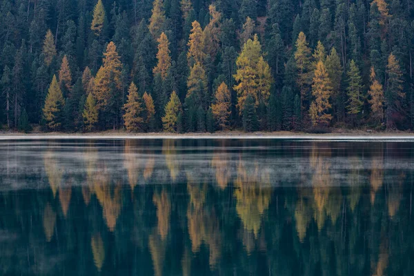Floresta de outono é refletida no lago — Fotografia de Stock