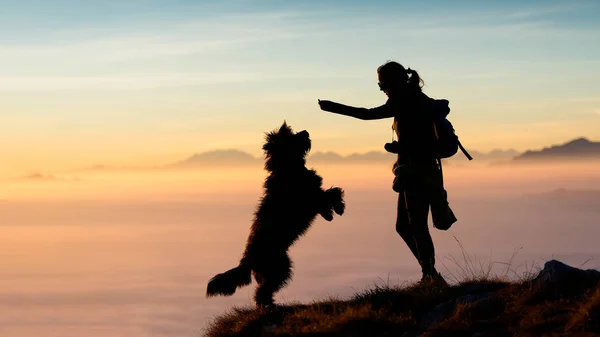 Dívka dává jídlo svého psa v horách — Stock fotografie