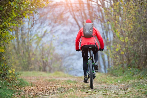 Гірський велосипед на вулиці в лісі — стокове фото