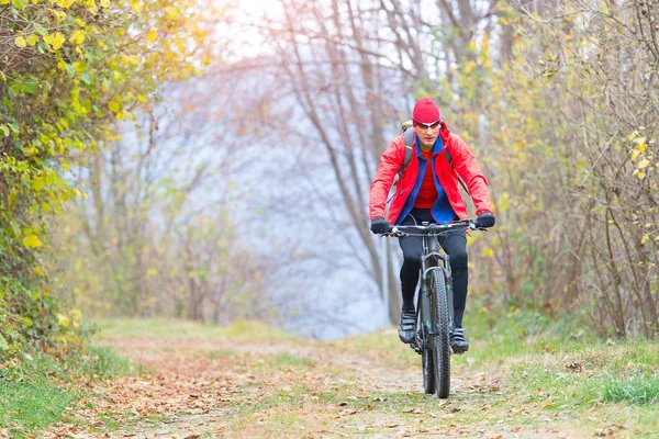 Спортивний чоловік відпочиває на педалі гірський велосипед у лісі — стокове фото
