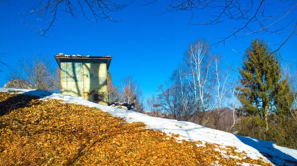 Zakamuflowane drewnianej chatce na polowanie w górach w zimie — Zdjęcie stockowe