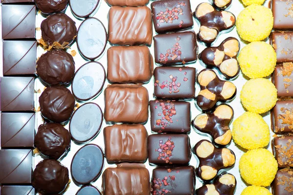 Varios pasteles de chocolate — Foto de Stock