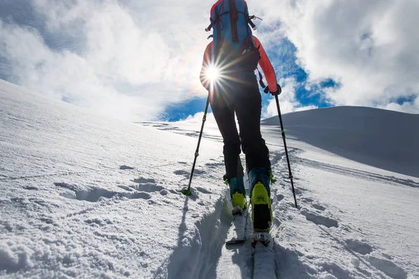 Flicka bergsbestigare klättra på skidor och sälskinn — Stockfoto