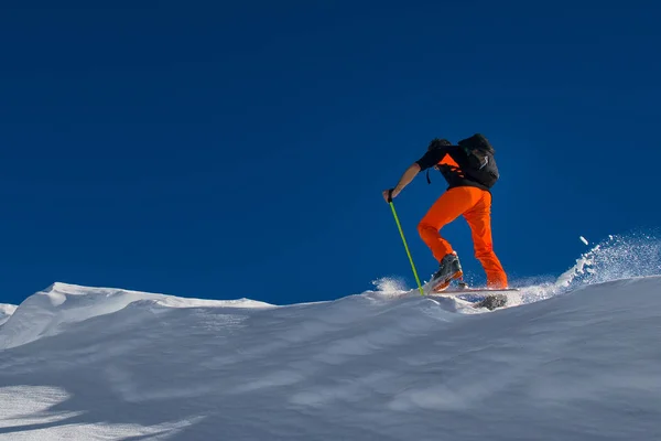 Seorang pria pemain ski alpen memanjat ski dan kulit anjing laut — Stok Foto