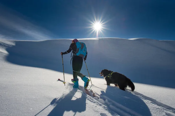 Fille fait du ski alpinisme avec son chien — Photo