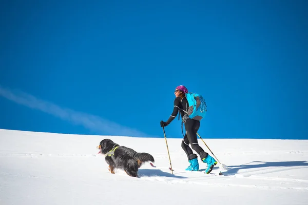 Fille fait du ski alpinisme avec son chien — Photo