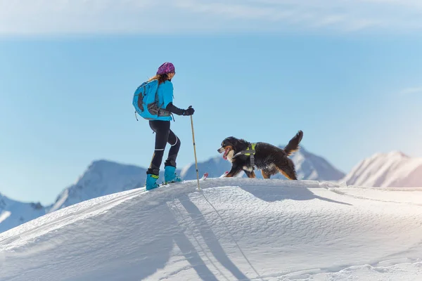 Fille au sommet d'une montagne avec des skis et son chien — Photo