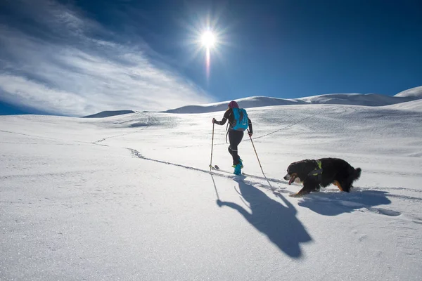 Fille fait du ski alpinisme avec son chien dans un lieu de conte de fées — Photo