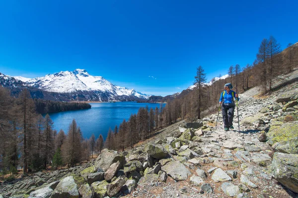 Alpine trekking in de Zwitserse Alpen een meisje wandelen met een grote lak — Stockfoto