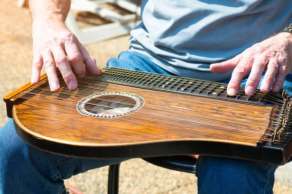 Man plays an Autoharp — Stock Photo, Image