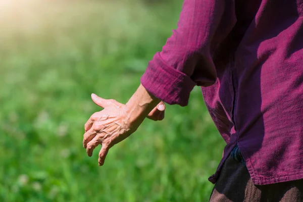 Praktyka Tai Chi Chuan w odkrytym — Zdjęcie stockowe