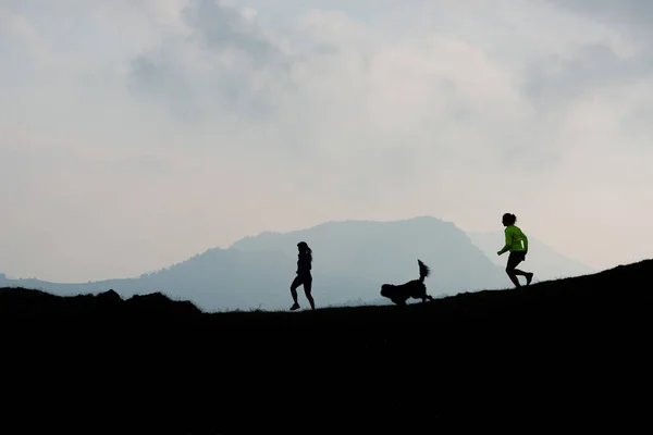 犬と山の中の 2 人の女性レース — ストック写真