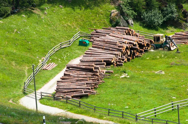 Montón de madera cortada del bosque —  Fotos de Stock