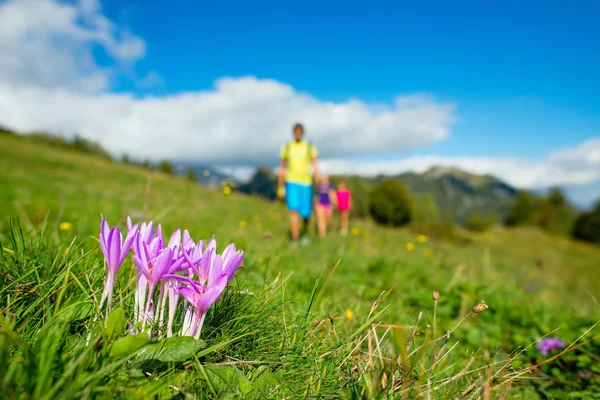 Fleurs de montagne en famille en randonnée — Photo