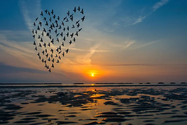 Pássaros silhuetas voando acima do mar contra o nascer do sol no fo — Fotografia de Stock