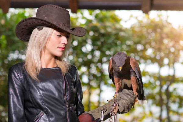 Vacker blond kvinna håller en harris hawkon en skyddande glov — Stockfoto