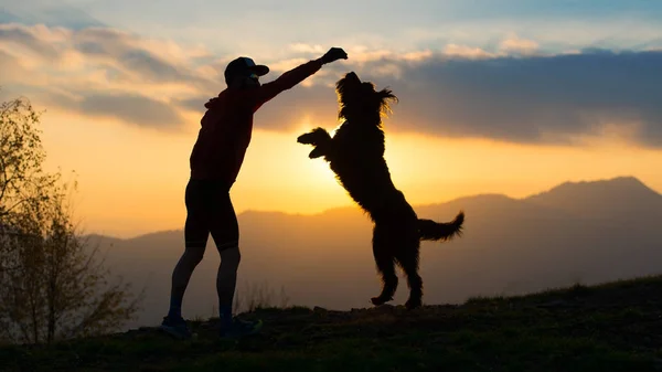 Perro grande que se levanta en dos patas para tomar una galleta de un hombre silh — Foto de Stock