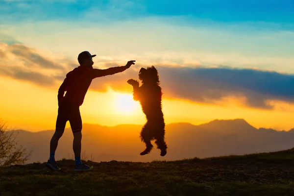 Grande cane che salta per prendere un biscotto da un uomo silhouette con bac — Foto Stock