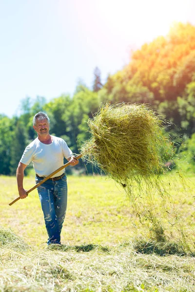 Man farmer turns the hay with a  fork — Stock Photo, Image