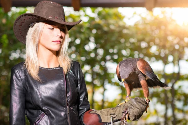 Vacker blond kvinna håller en harris hawkon en skyddande glov — Stockfoto