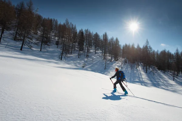 Ski de randone. Kobieta z skór fok i skialpinizm — Zdjęcie stockowe
