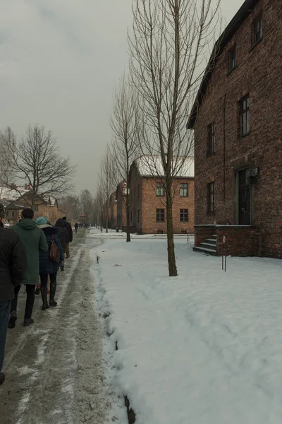 Auschwitz-Birkenau koncentracji Gate, odwiedzający z przewodnikiem — Zdjęcie stockowe