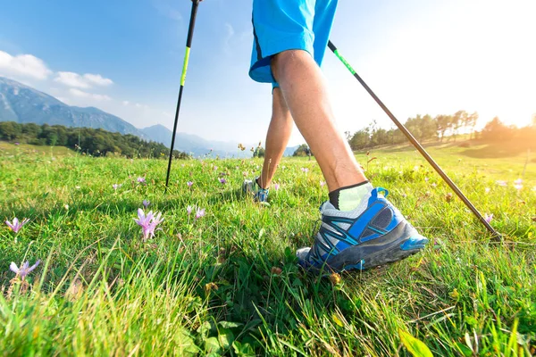 Caminar en el prado con flores de primavera con bastones nórdicos —  Fotos de Stock