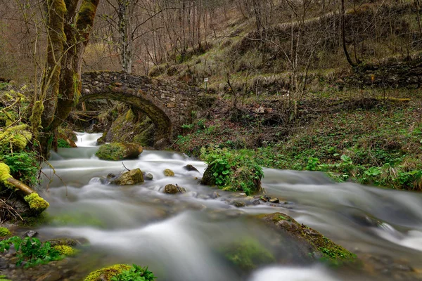Gamla stenbron över dalen i skogen — Stockfoto