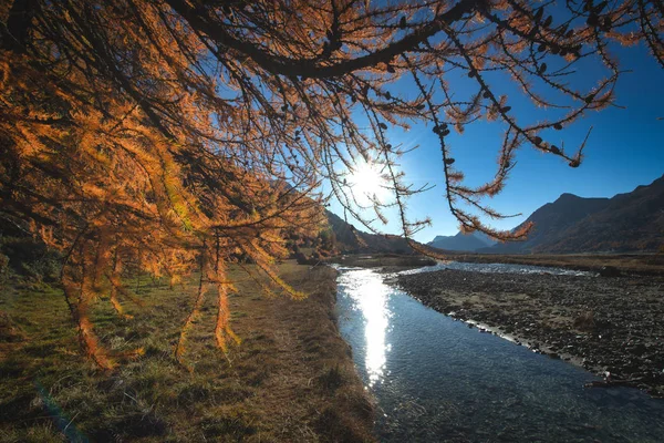 O sol reflete no rio sobre os Alpes suíços de baixo de um — Fotografia de Stock