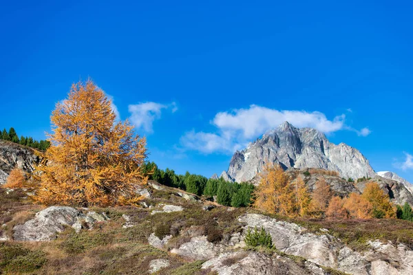 Typische herbstliche Berglandschaft an den Alpen — Stockfoto