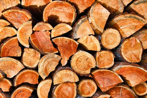 Textura de troncos de madera seca picada —  Fotos de Stock