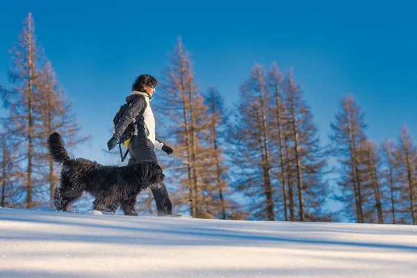 Flicka går med sin hund i snön — Stockfoto