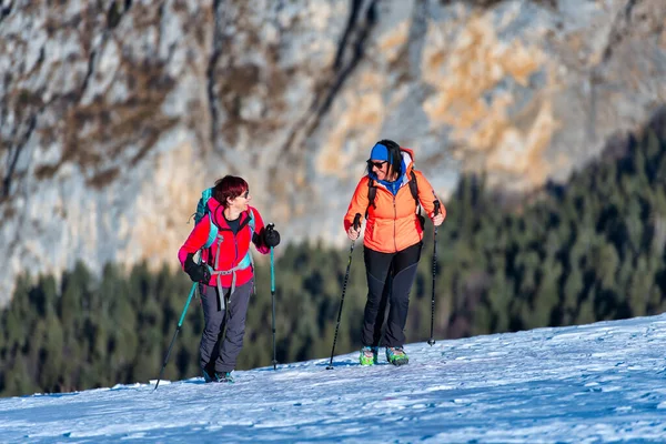 Para Przyjaznych Kobiet Podczas Górskiej Wędrówki Śniegu — Zdjęcie stockowe