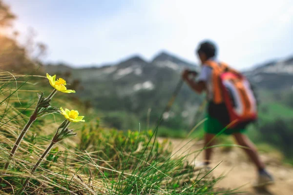 Flores Montaña Con Niño Una Caminata —  Fotos de Stock