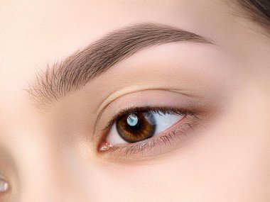 Güzel kahverengi kadın göz görünümünü kapatın. Mükemmel modaya uygun kaş. İyi görme, kontakt lensler, kaş çubuğu veya moda kaş makyaj kavramı