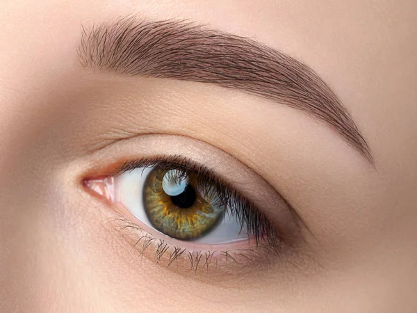 近距离观看美丽的绿色女性眼睛 完美的新潮眉毛好视力 隐形眼镜 眉条或时尚眉妆概念 — 图库照片