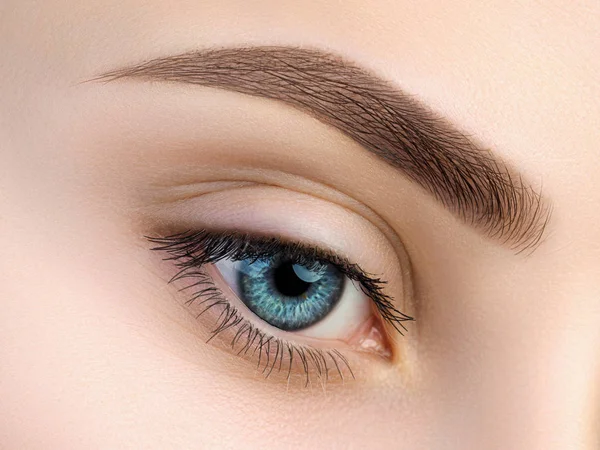 Close View Beautiful Blue Female Eye Perfect Trendy Eyebrow Good — Stock Photo, Image