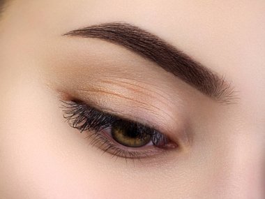 Close up view of beautiful brown female eye clipart