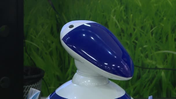 Modern robottechnológiák. A robot érdeklődéssel néz körül.. — Stock videók