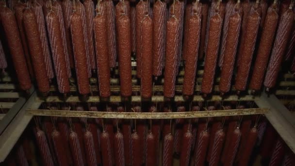 Production of semi-smoked sausages in the meat industry. — Stock Video