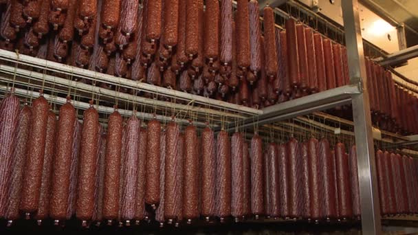 Виробництво напівкопчених ковбас у м'ясопромисловості . — стокове відео