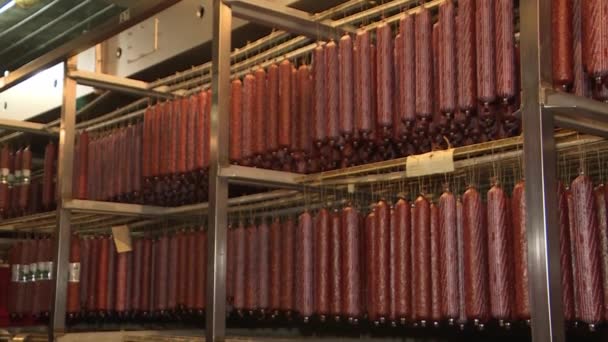 Produkcja kiełbas częściowo wędzonych w przemyśle mięsnym. — Wideo stockowe