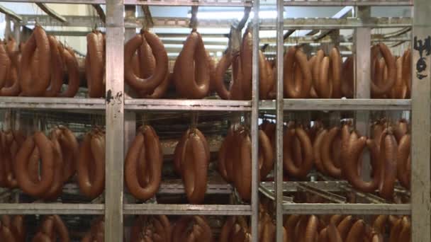 Виробництво напівкопчених ковбас у м'ясопромисловості . — стокове відео