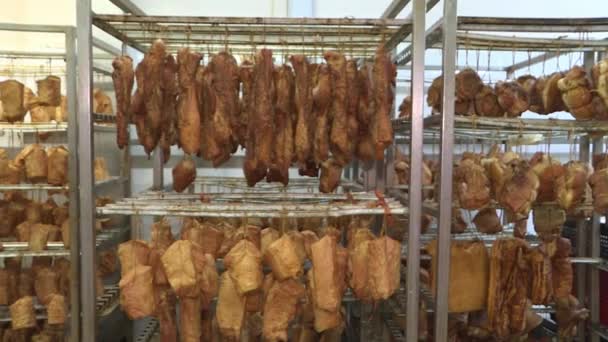 Productie van gerookt vlees en worst in de vleesindustrie. — Stockvideo