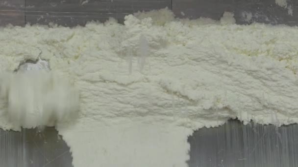 Production of cottage cheese at the factory . Dairy-based cream products — Stockvideo