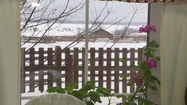 Un mazzo di fiori da giardino sul davanzale della finestra. Paesaggio invernale fuori dalla finestra . — Video Stock